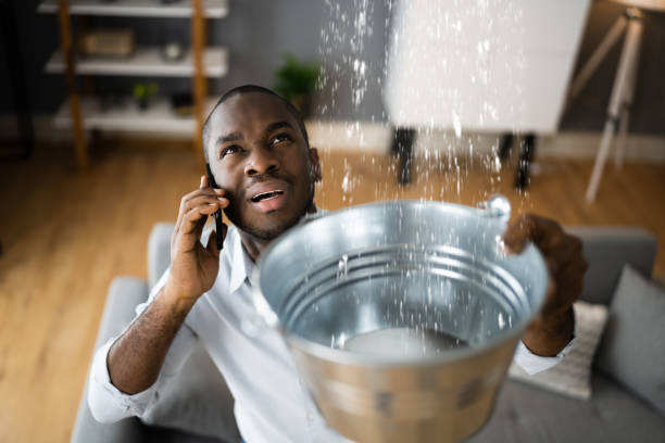 Best Professional water damage repair  in Newville, PA