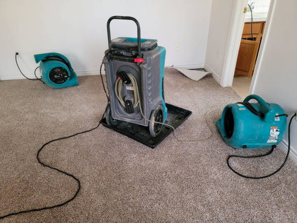 Best Basement water damage restoration  in Newville, PA