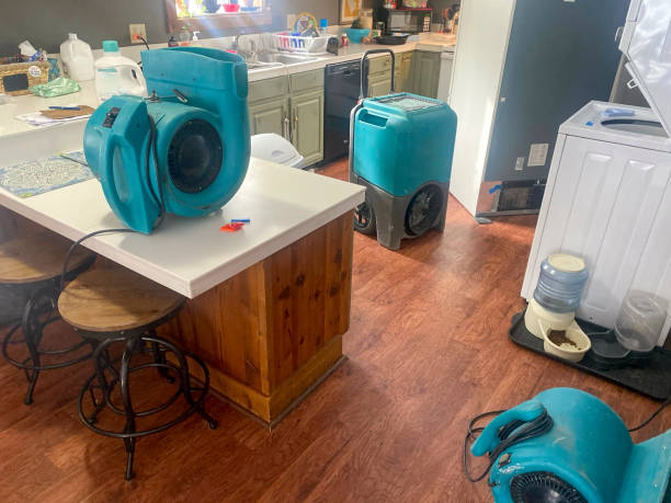 Best Water damage restoration insurance claims  in Newville, PA