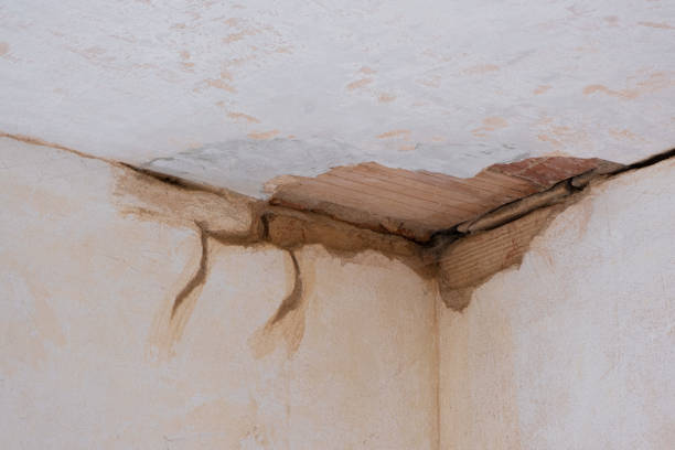 Best Ceiling water damage repair  in Newville, PA