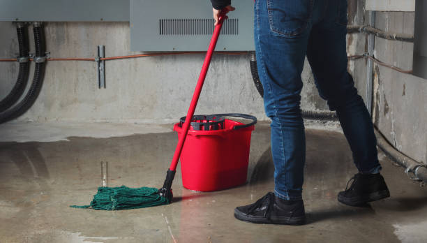 Best Mold removal after water damage  in Newville, PA