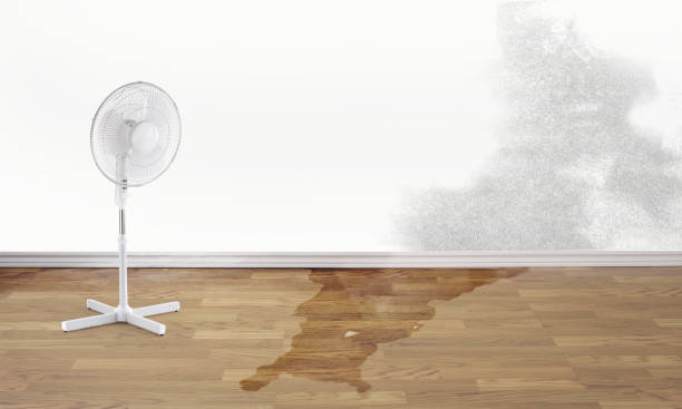 Best Flood damage cleanup  in Newville, PA