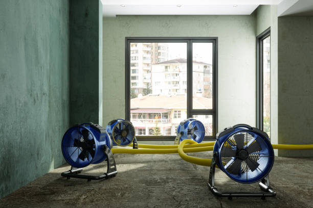 Best Water damage restoration process  in Newville, PA