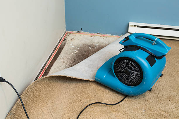 Best Commercial water damage restoration  in Newville, PA